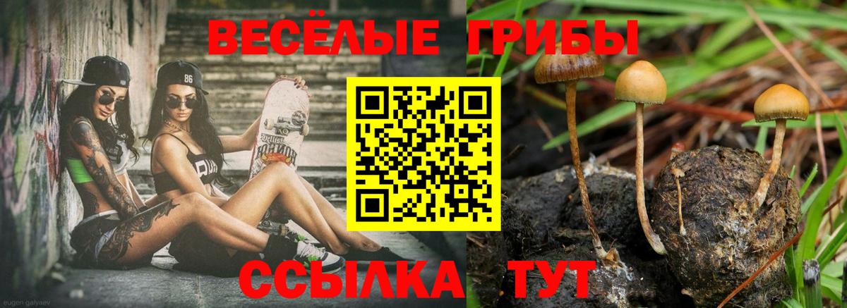 Псилоцибиновые грибы прущие грибы Похвистнево