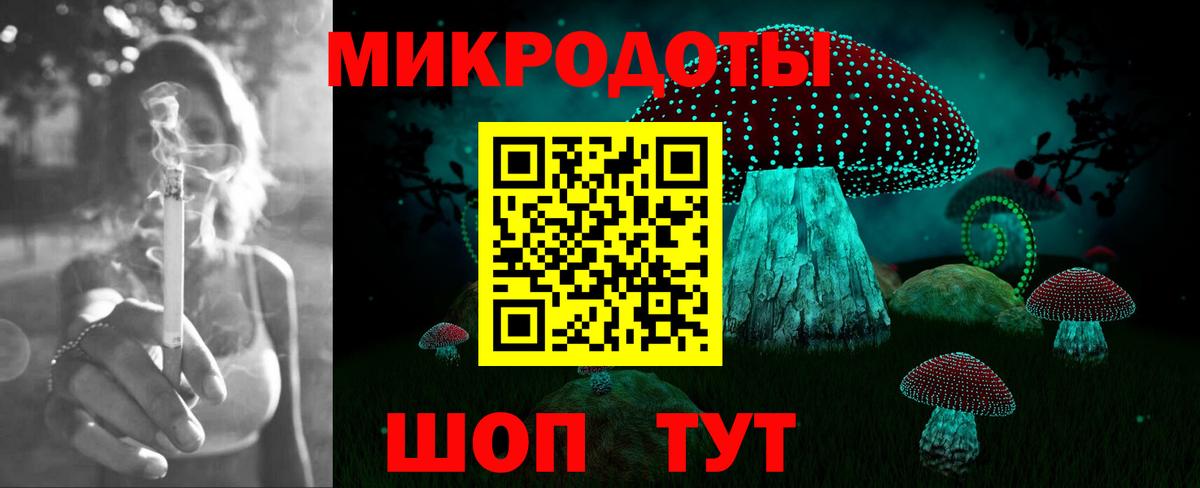 Похвистнево  Псилоцибиновые грибы прущие грибы  Псилоцибиновые грибы Cubensis  Вход с VPN 